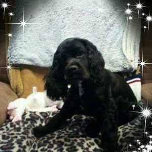 Meet your Posher, Kathy